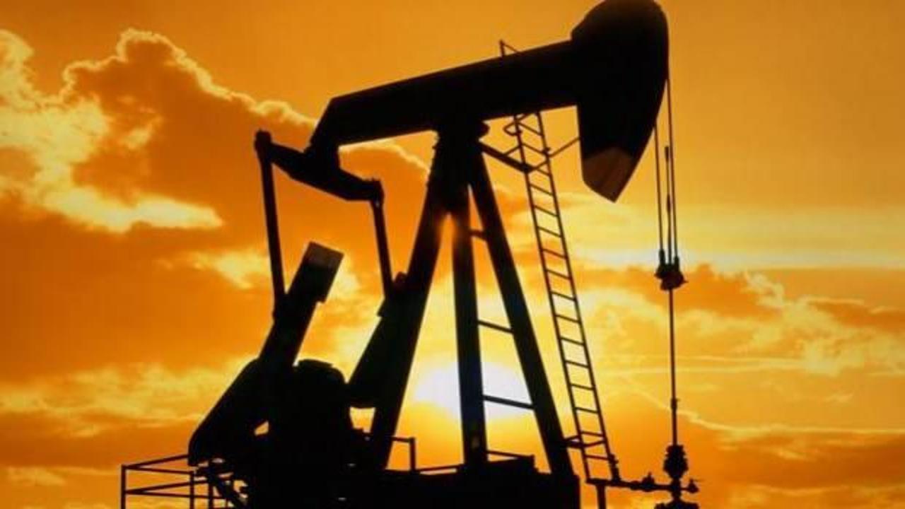 Suudi Arabistan'da 4 yeni petrol ve gaz yatağı bulundu