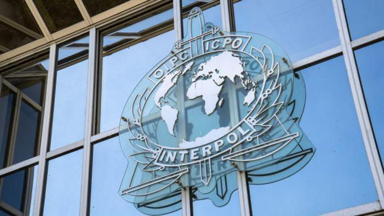 Interpol’den Endonezya’da düşen uçakla ilgili sürpriz teklif!