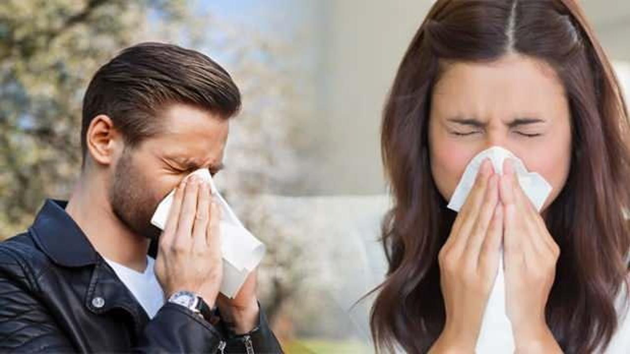 Toz alerjisine ne iyi gelir? Toz ve tüy alerjisinin nedenleri