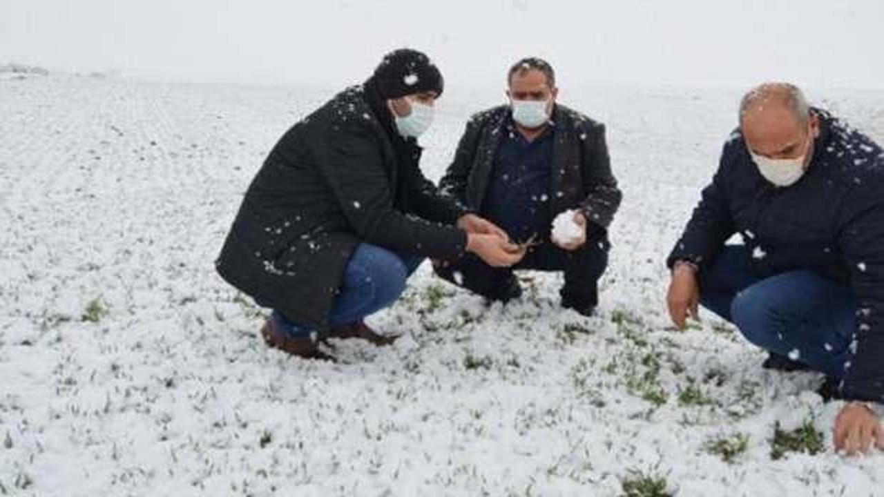 Kar yağışı çiftçilerin yüzünü gülürdü