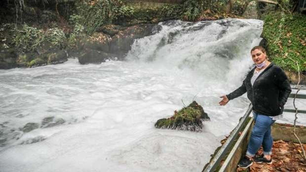 Şelale k&ouml;p&uuml;rd&uuml;, pis koku tepkiye neden oldu!
