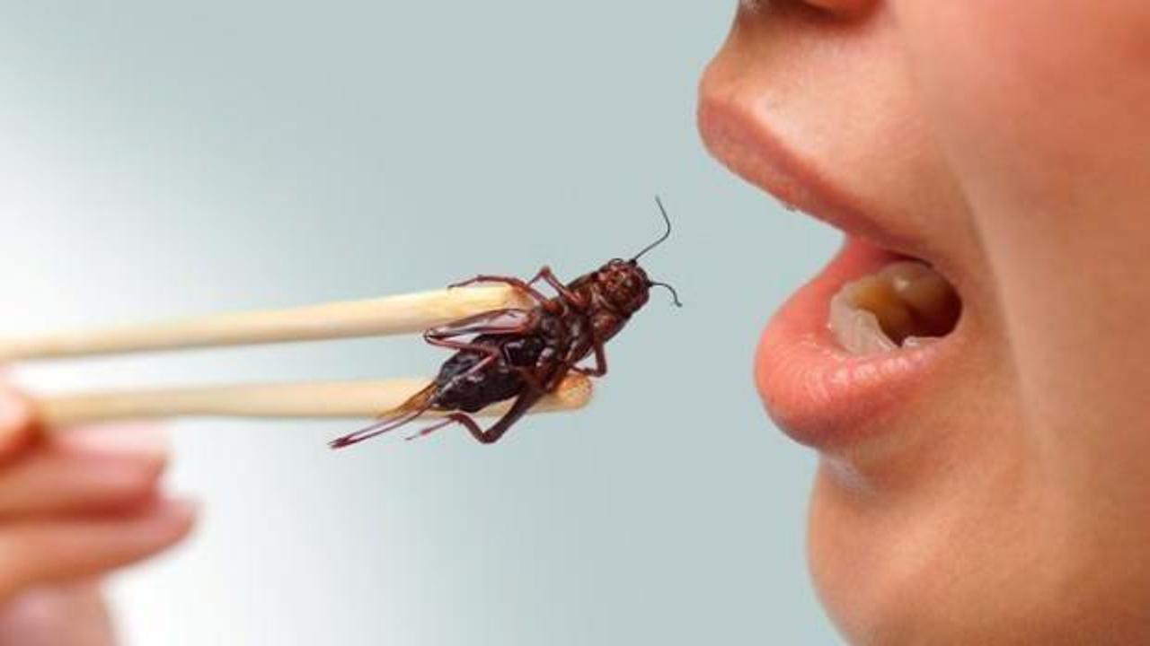 Uzmanından korkunç iddia: '20-30 yıl sonra böcekleri yiyeceğiz!'