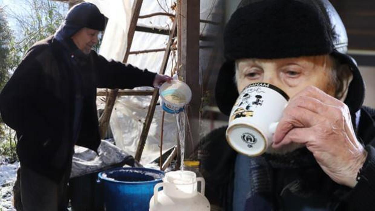 90'lık çınar uzun yaşamın sırrını anlattı: Yaz kış kar suyu içiyorum!