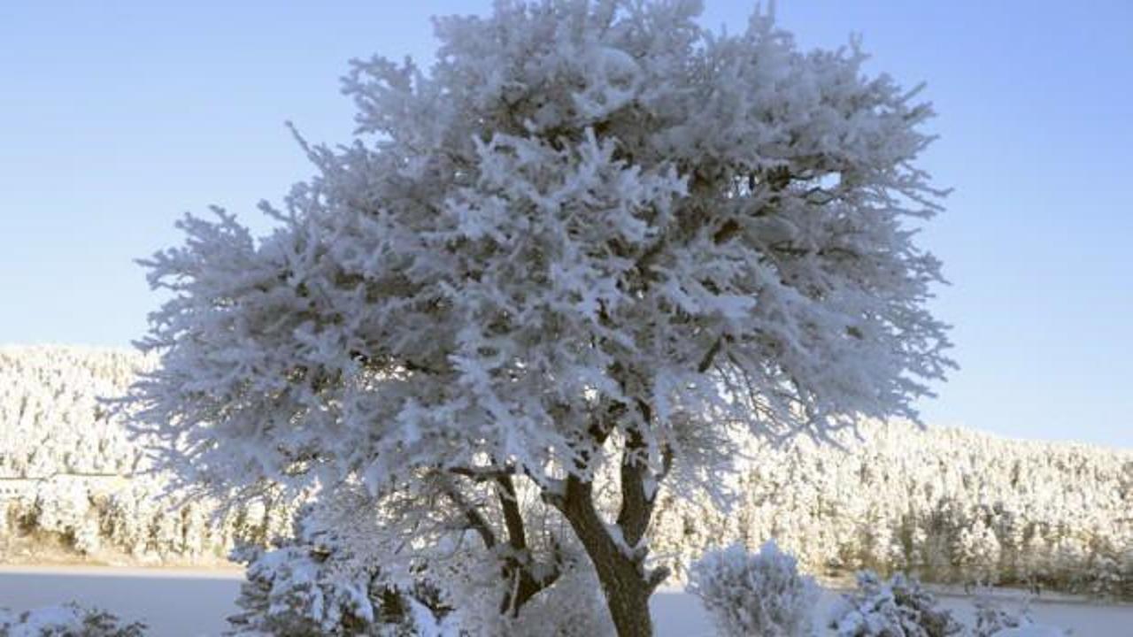 Eksi 32 dereceyle Türkiye'nin en soğuk ili oldu