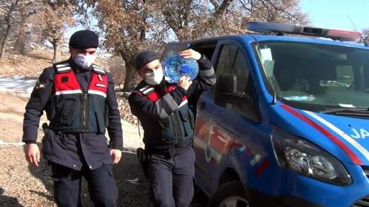 Jandarma ekipleri yaşlılara destek oluyor