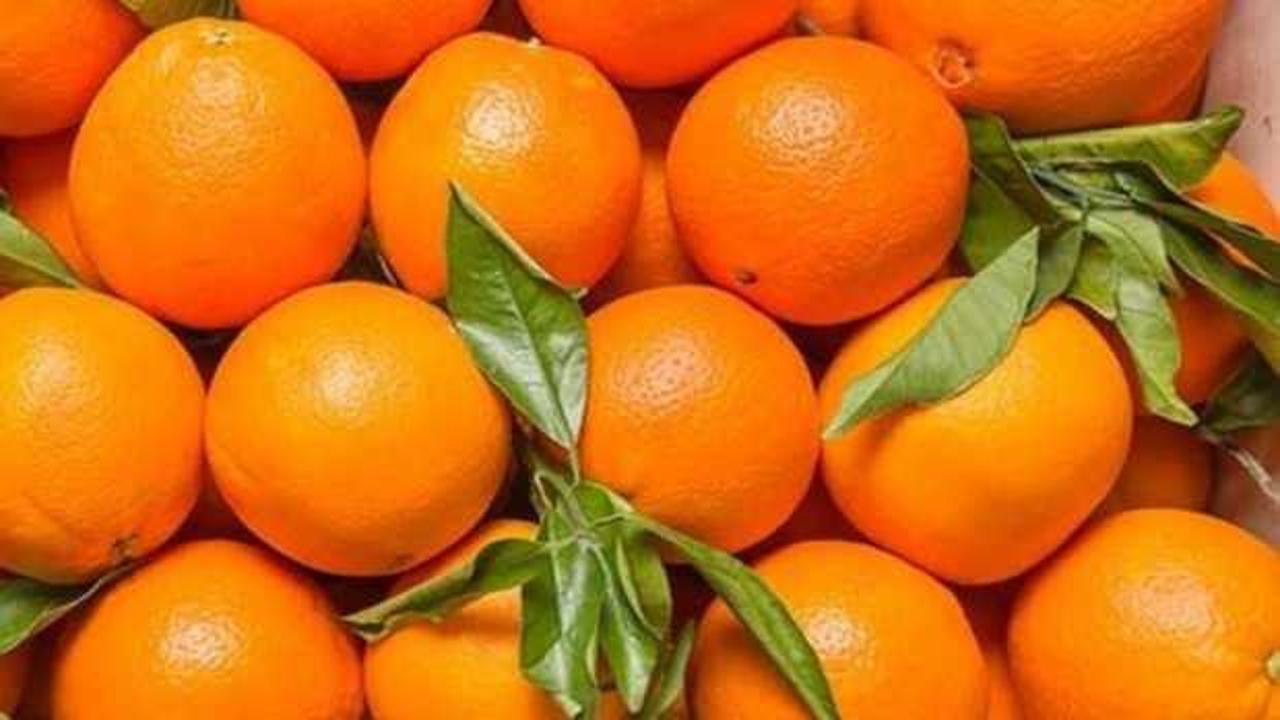Türkiye'nin portakal ihracatı arttı