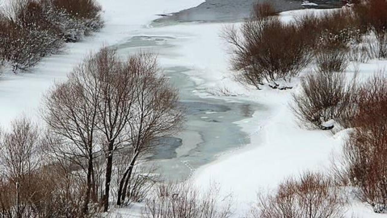 Bing&ouml;l'de Peri &Ccedil;ayı buz tuttu