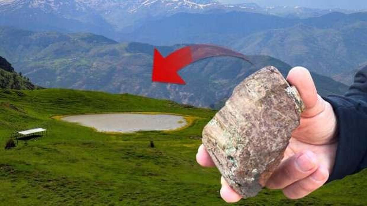 Yer G&uuml;m&uuml;şhane... Yaylada heyecanlandıran keşif!