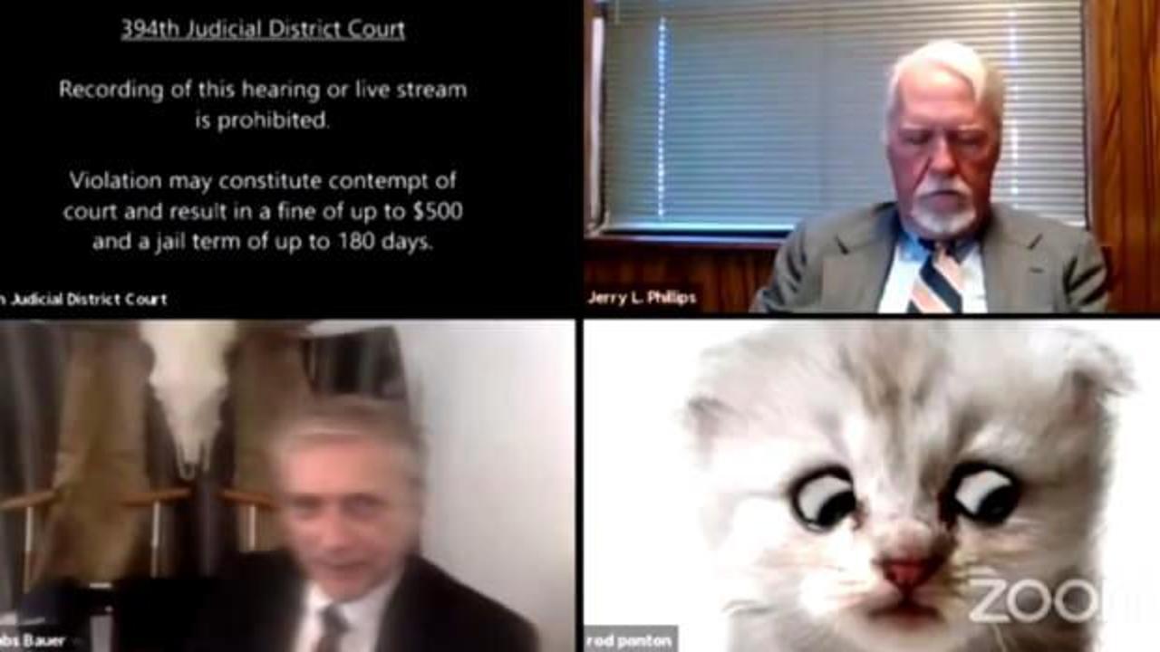 ABD'de online duruşmaya katılan avukat, kendisinin kedi olmadığına inandırmaya çalıştı