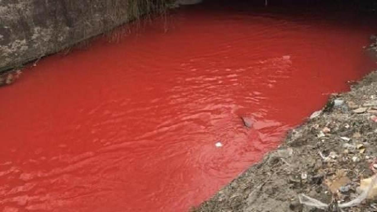 Ankara &Ccedil;ayı, kırmızıya boyandı! İnceleme başlatıldı