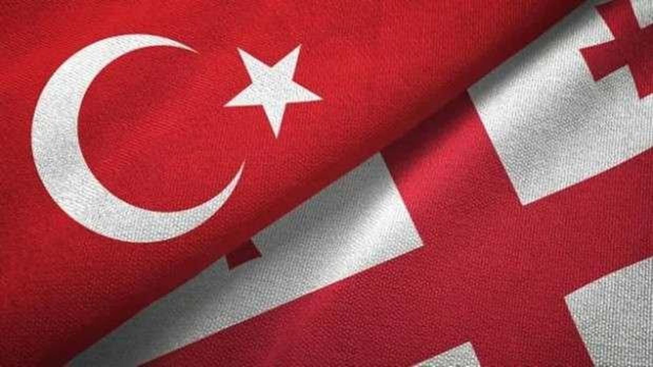 Gürcistan'ın ihracat potansiyeli Türk menşeli hammaddelerle artacak