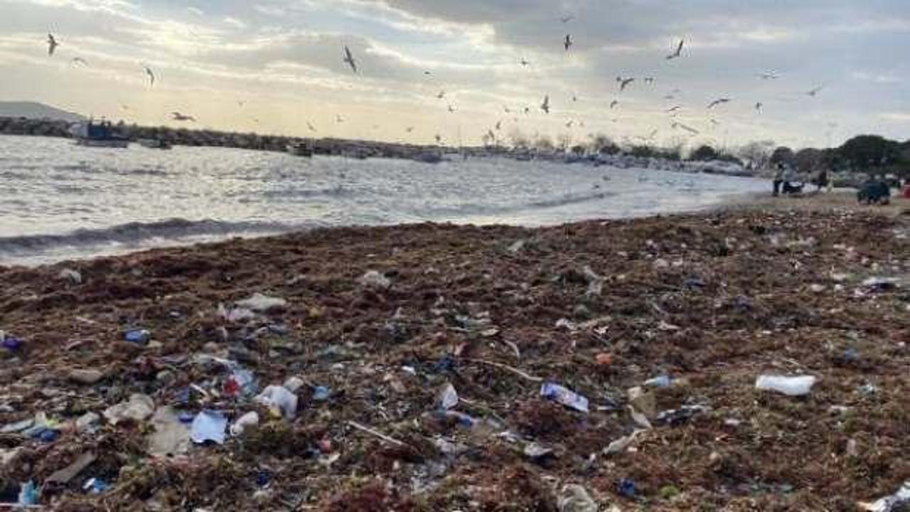 Kadıköy'de utandıran görüntü: Sahil çöple dolu!