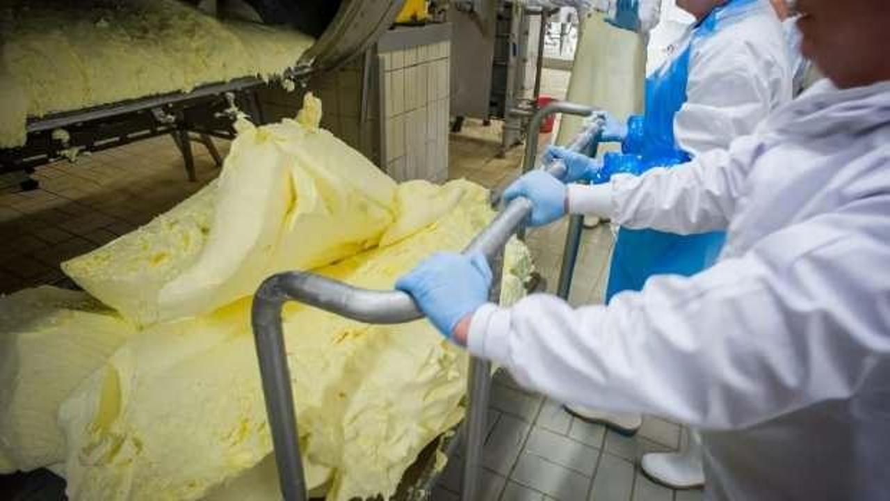 Tereyağı ve inek peynirinde son 10 yılın rekoru kırıldı