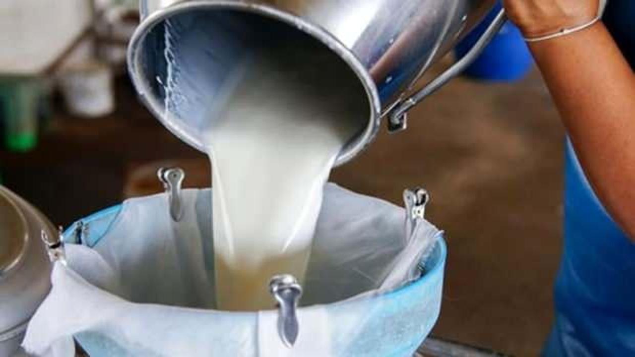 Türkiye'de geçen yıl 21,6 milyon ton çiğ süt üretildi