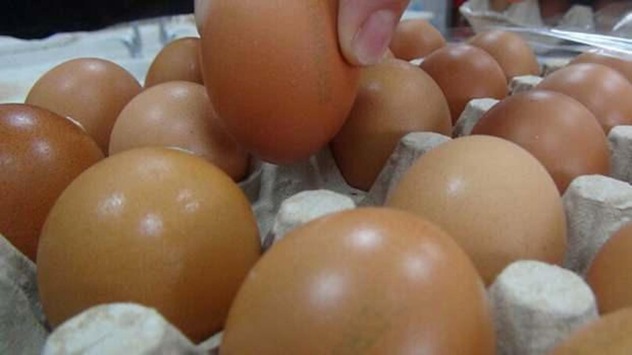 Vatandaşa önemli yumurta uyarısı: Ülkemizde üretimi mümkün değil