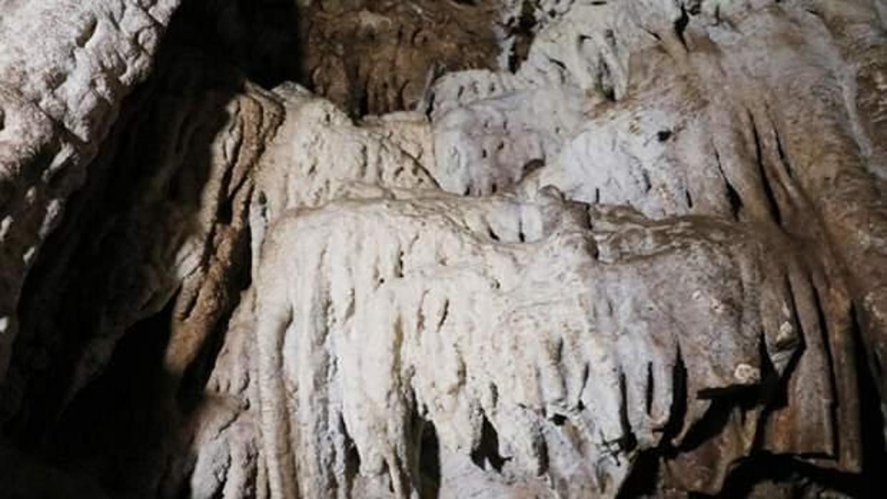 Defineciler hazine ararken buldu! Hemen korumaya alındı