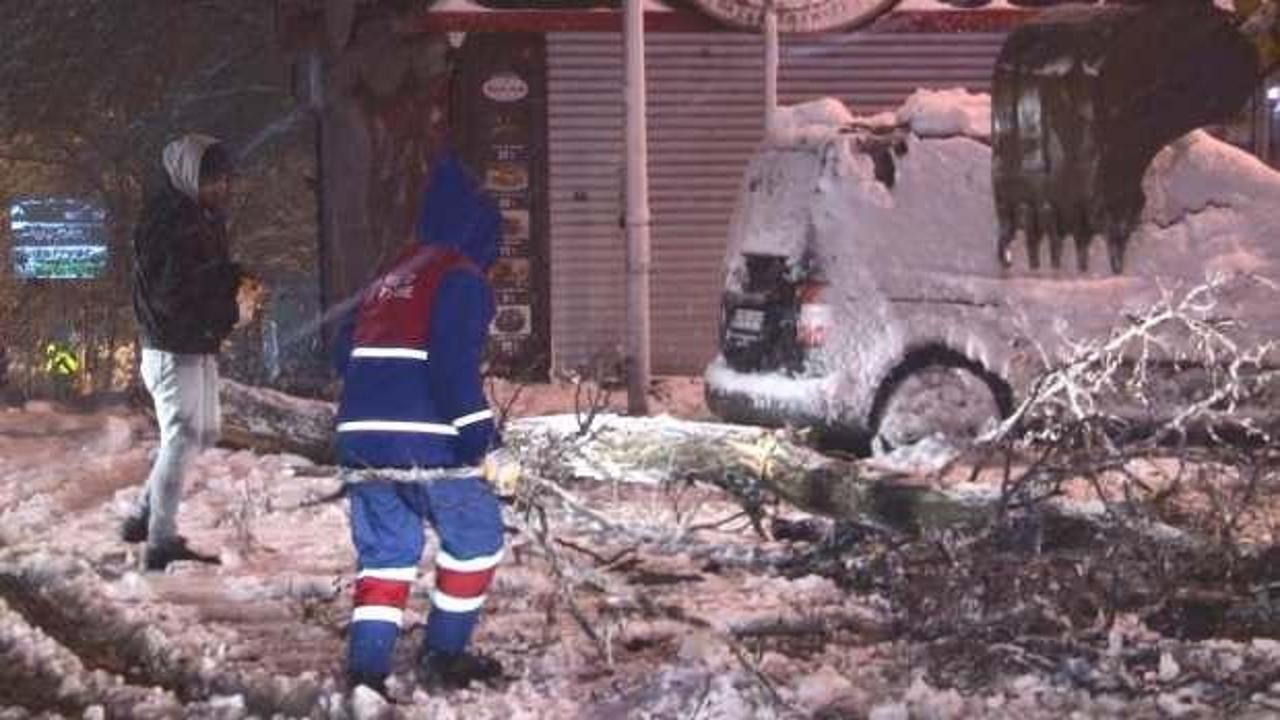 Kağıthane'de yoğun kar nedeniyle yol kenarındaki ağa&ccedil; devrildi