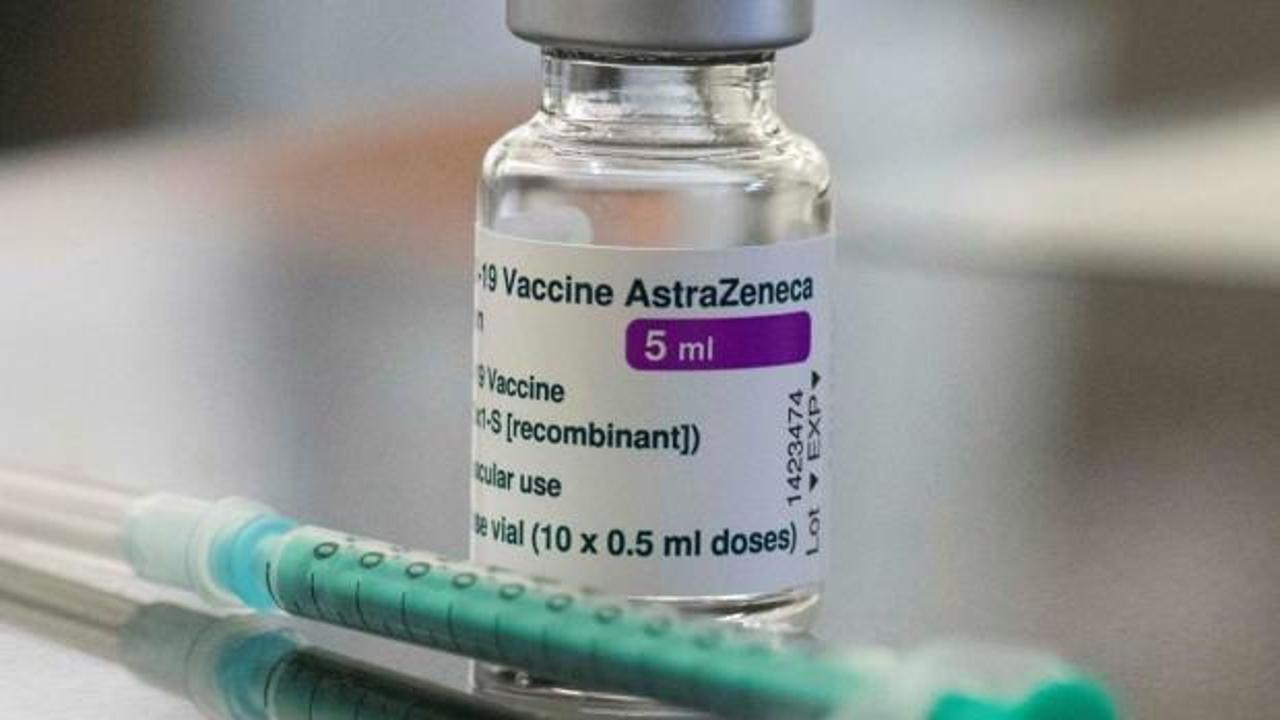 Almanya Cumhurbaşkanı Steinmeier: "Aşı seçmek oldukça lüks bir sorun"