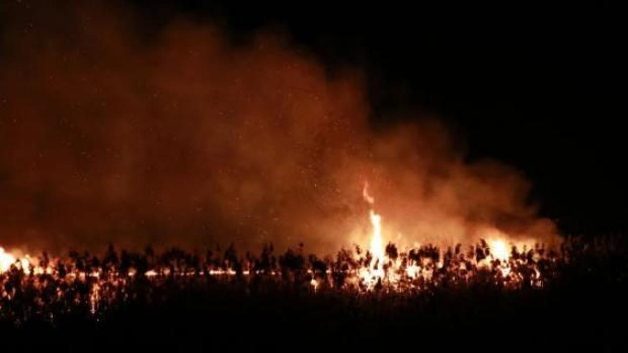 Burdur Gölü kenarındaki sazlık alanda yangın