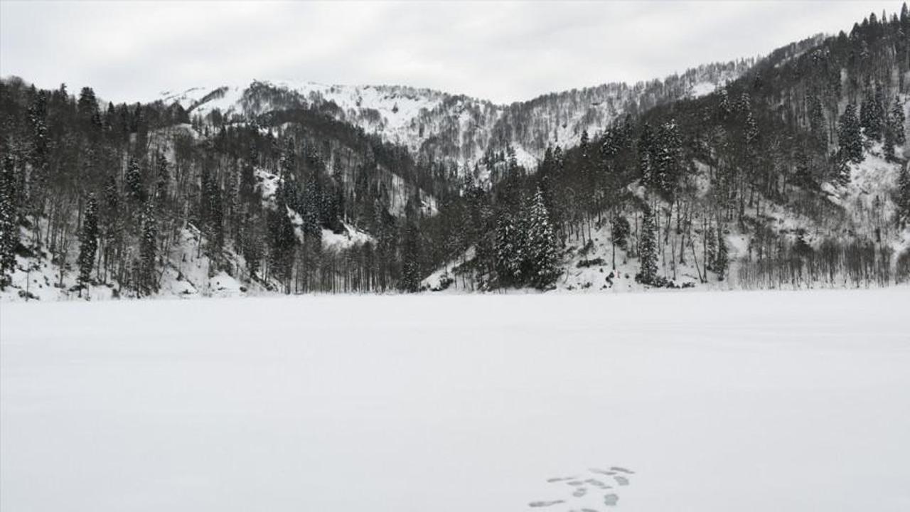 Buzla kaplanan doğa harikası görenleri hayran bırakıyor
