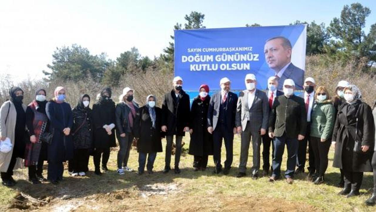 Cumhurbaşkanı Erdoğan'ın doğum gününde 'hatıra ormanı' oluşturuldu