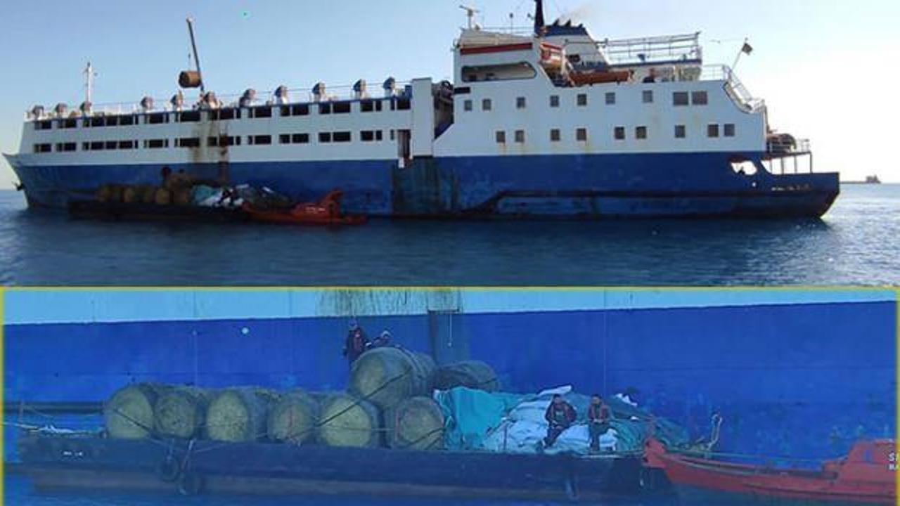 Hasta hayvan yüklü Kongo bayraklı gemi Kıbrıs'ta panik yarattı