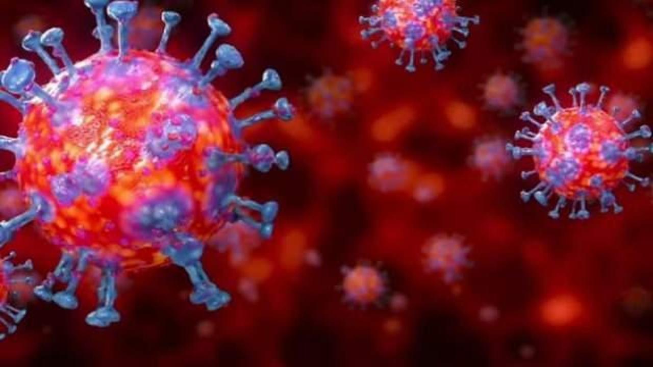 Kayseri'de mutasyonlu virüs tespit edildi, mahalle karantinaya alındı