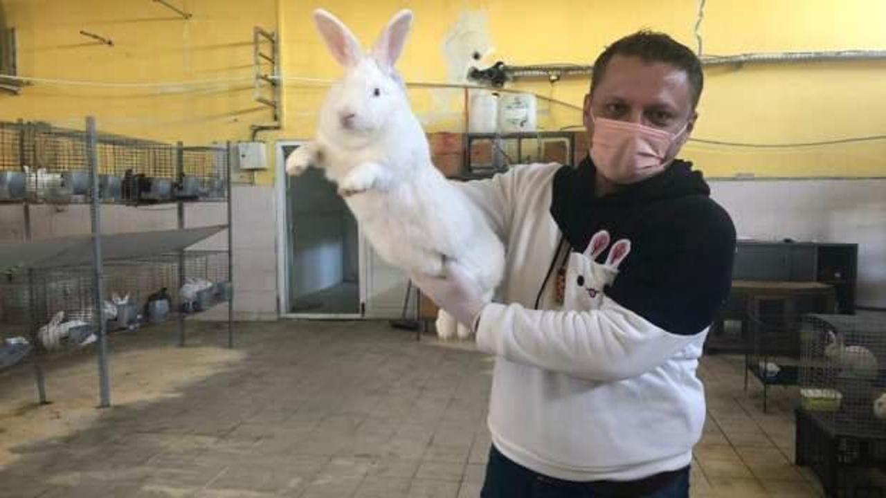 &Ouml;ğretmenliği bırakıp tavşan &ccedil;iftliği kurdu
