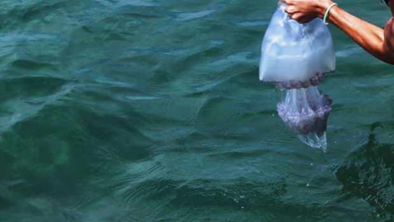 Avustralya’da denizanasının soktuğu genç yaşam mücadelesini kaybetti