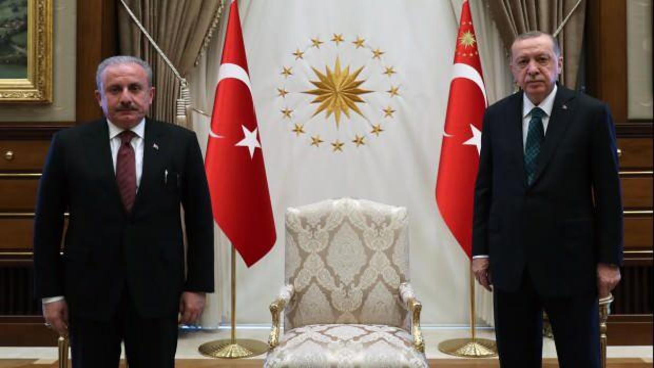 Başkan Erdoğan, TBMM Başkanı Şentop'u kabul etti