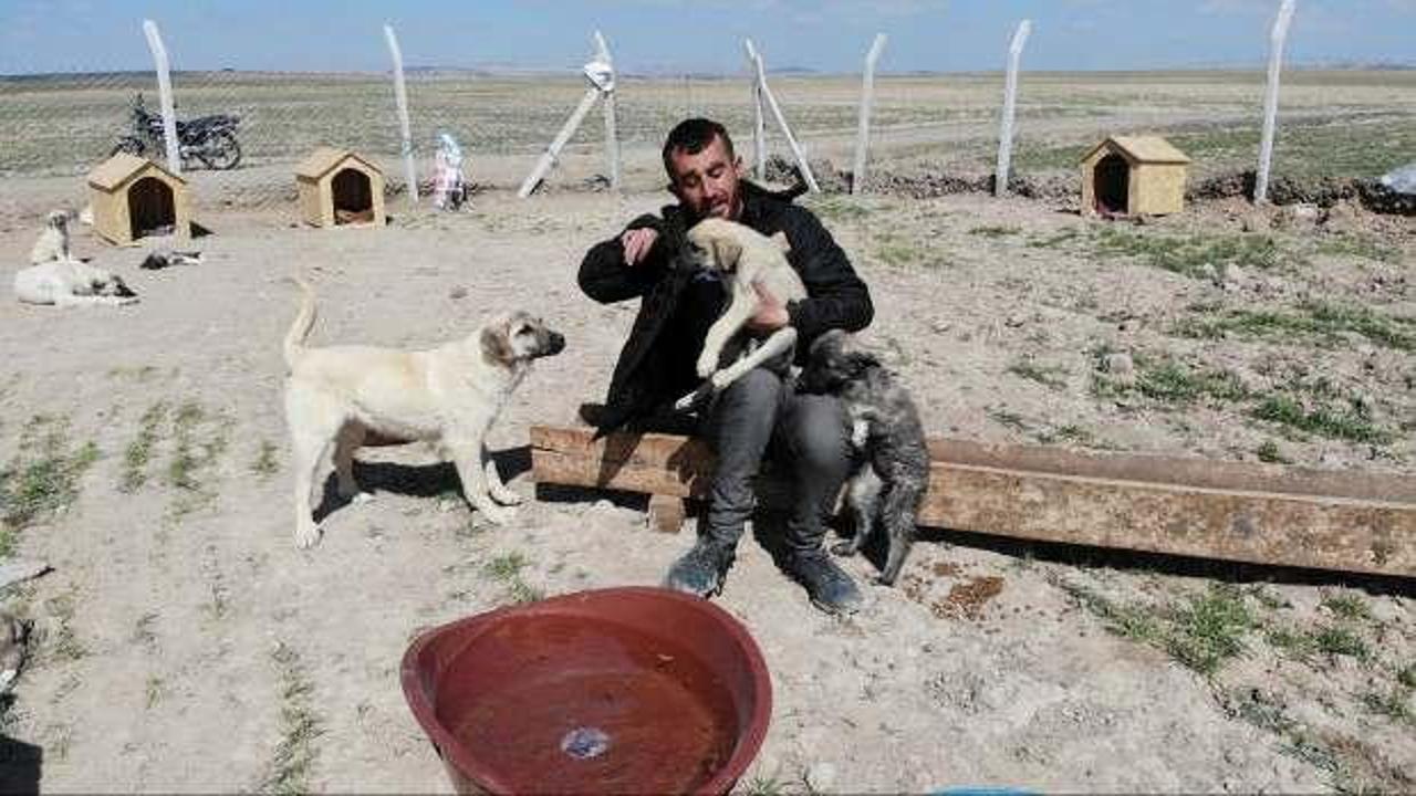 Aksaray'da engelli genç köpekleriyle köyünden kovuldu!