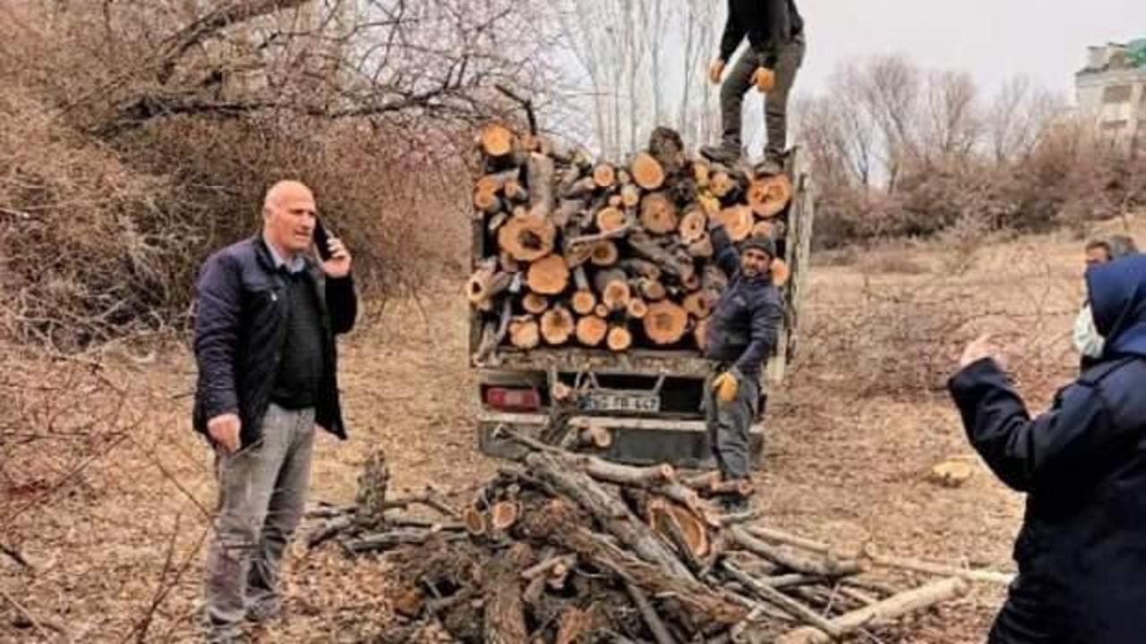 İzinsiz ağaç kesimine 9 bin 85 lira ceza
