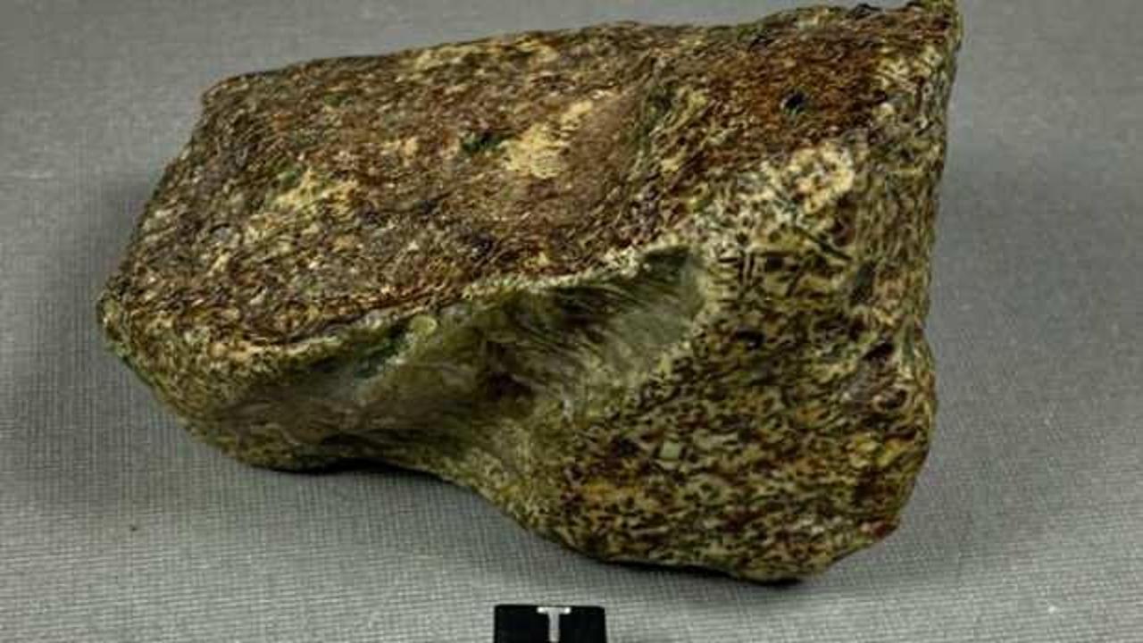Uzaydan gelen en yaşlı cisim bulundu: 4.6 milyar yaşında