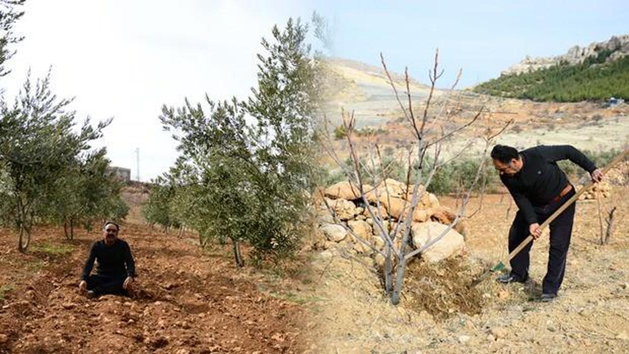 36 yıl kamyon şoförlüğü yaptı, huzuru köyüne yerleşip yüzlerce ağaç dikmekte buldu!