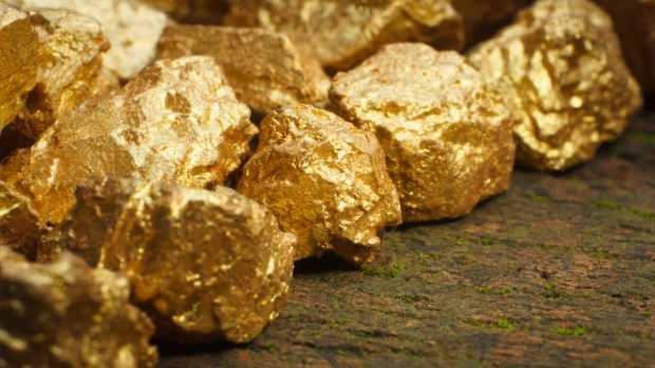 Türkiye'den 100 tonluk altın hamlesi!