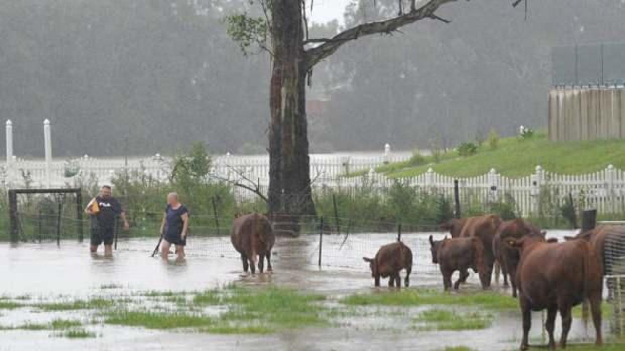 Avustralya'da sel felaketi: Uyarı üzerine uyarı yapılıyor