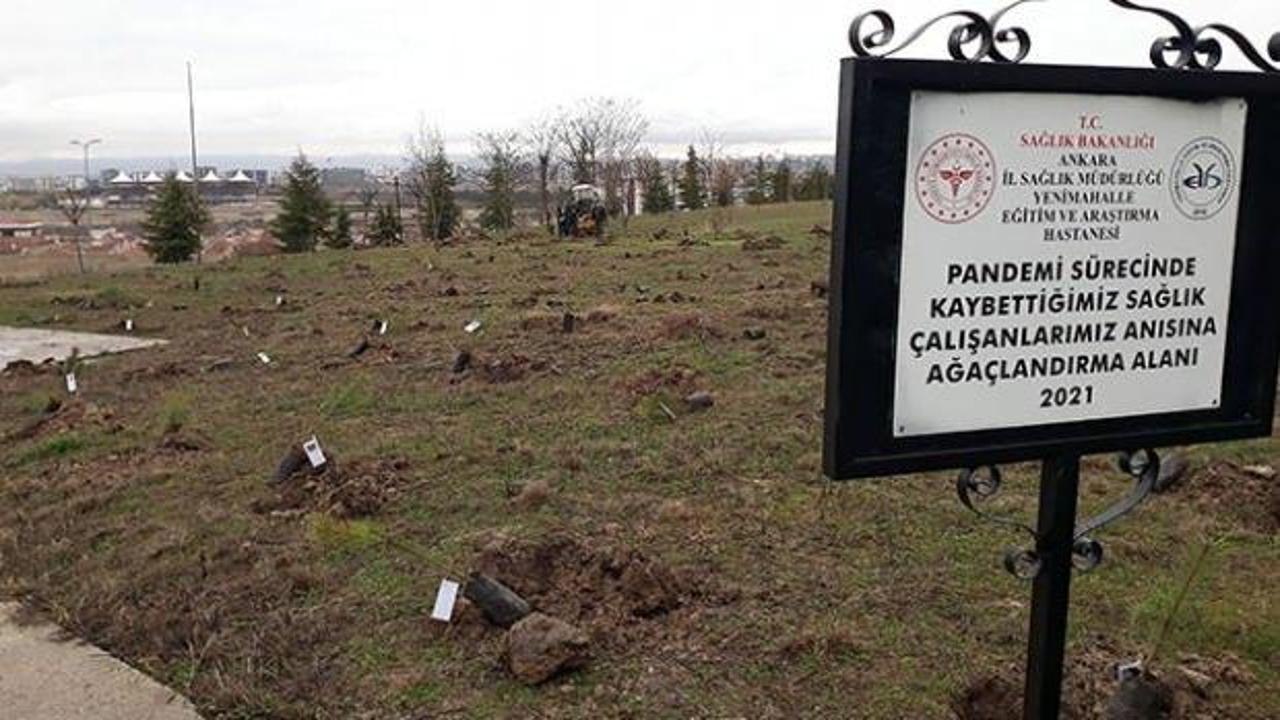 Ankara'da hayatını kaybeden sağlık çalışanları anısına fidan dikildi