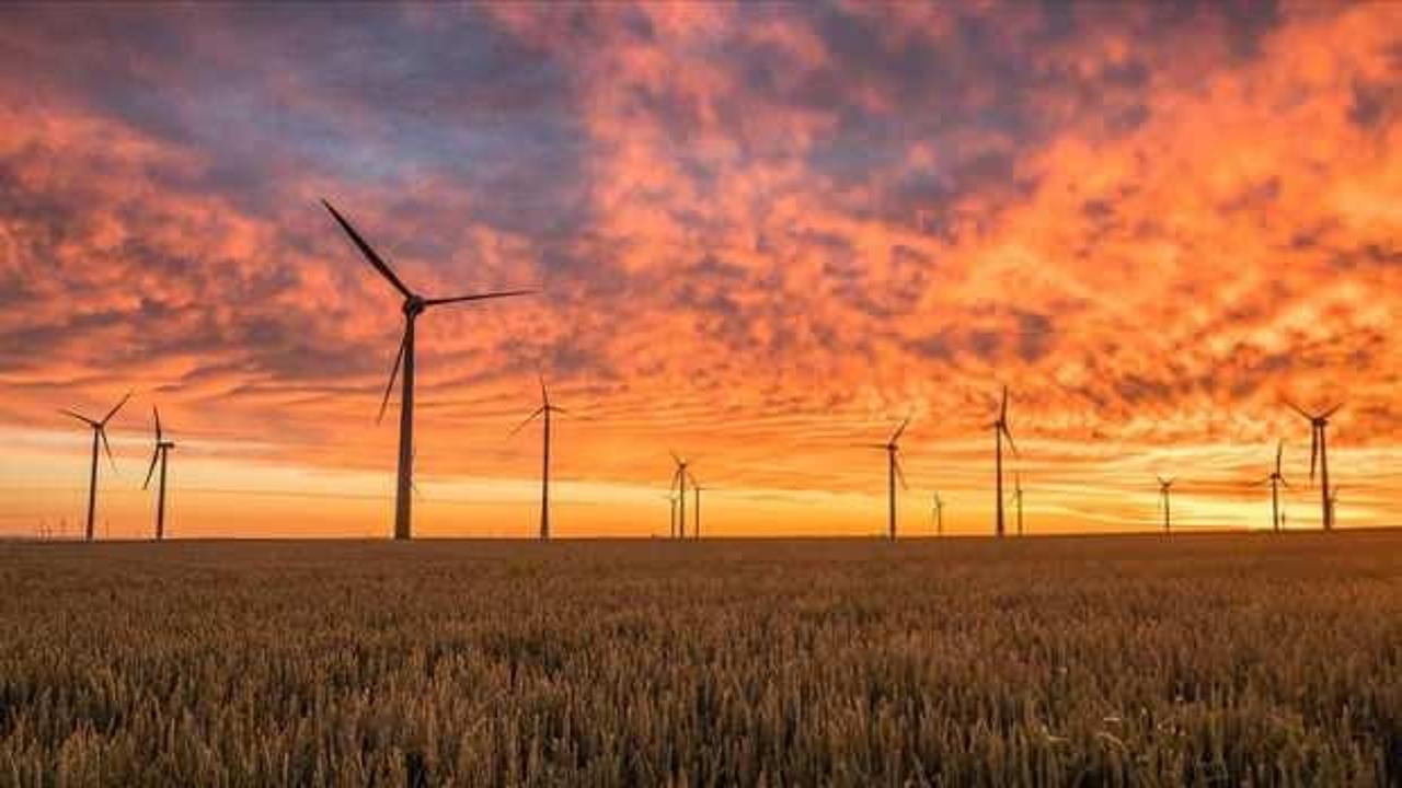 Küresel rüzgar enerjisi kapasitesi Kovid-19'a rağmen arttı