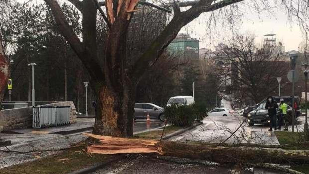 Meclis bah&ccedil;esine yıldırım d&uuml;şt&uuml;