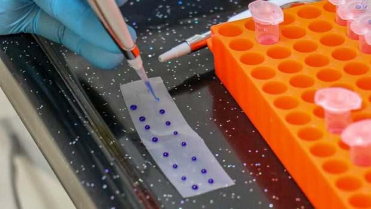 DNA incelenmesinde kullanılan belirteç Van'da geliştirildi