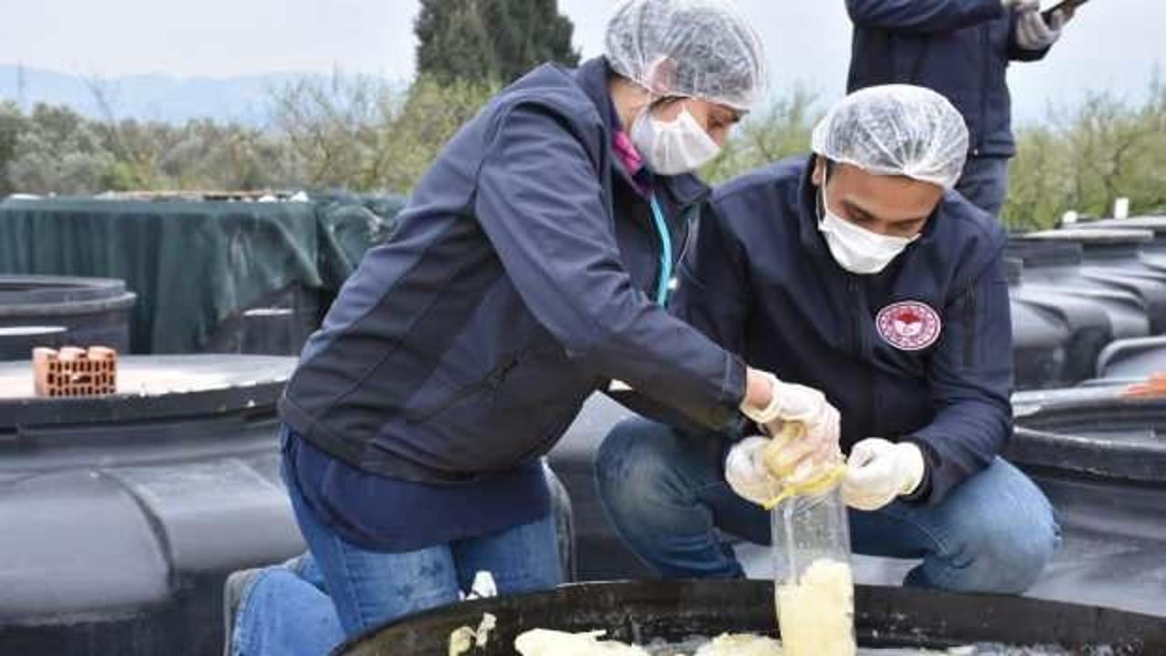 Skandal görüntülerin çekildiği turşu fabrikası mühürlendi