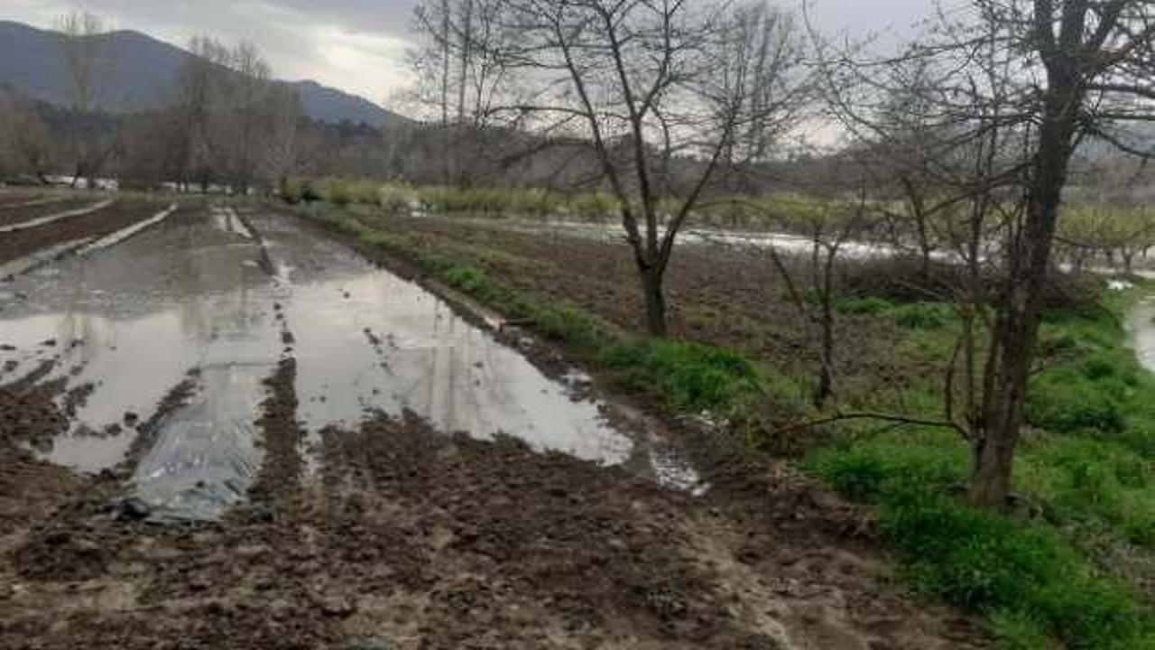 Bilecik'te Göksu Nehri taştı: Tarım arazileri su altında kaldı