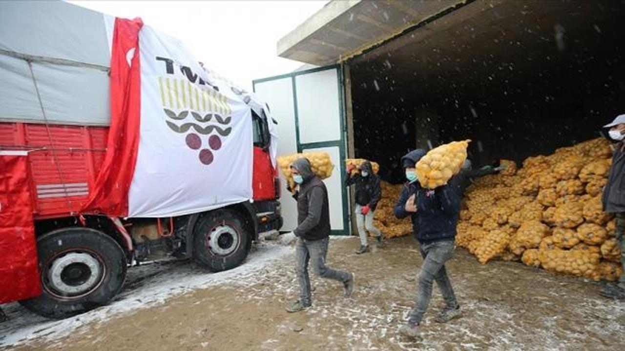 TMO, ihtiyaç sahiplerine dağıtılacak patatesin alımına başladı