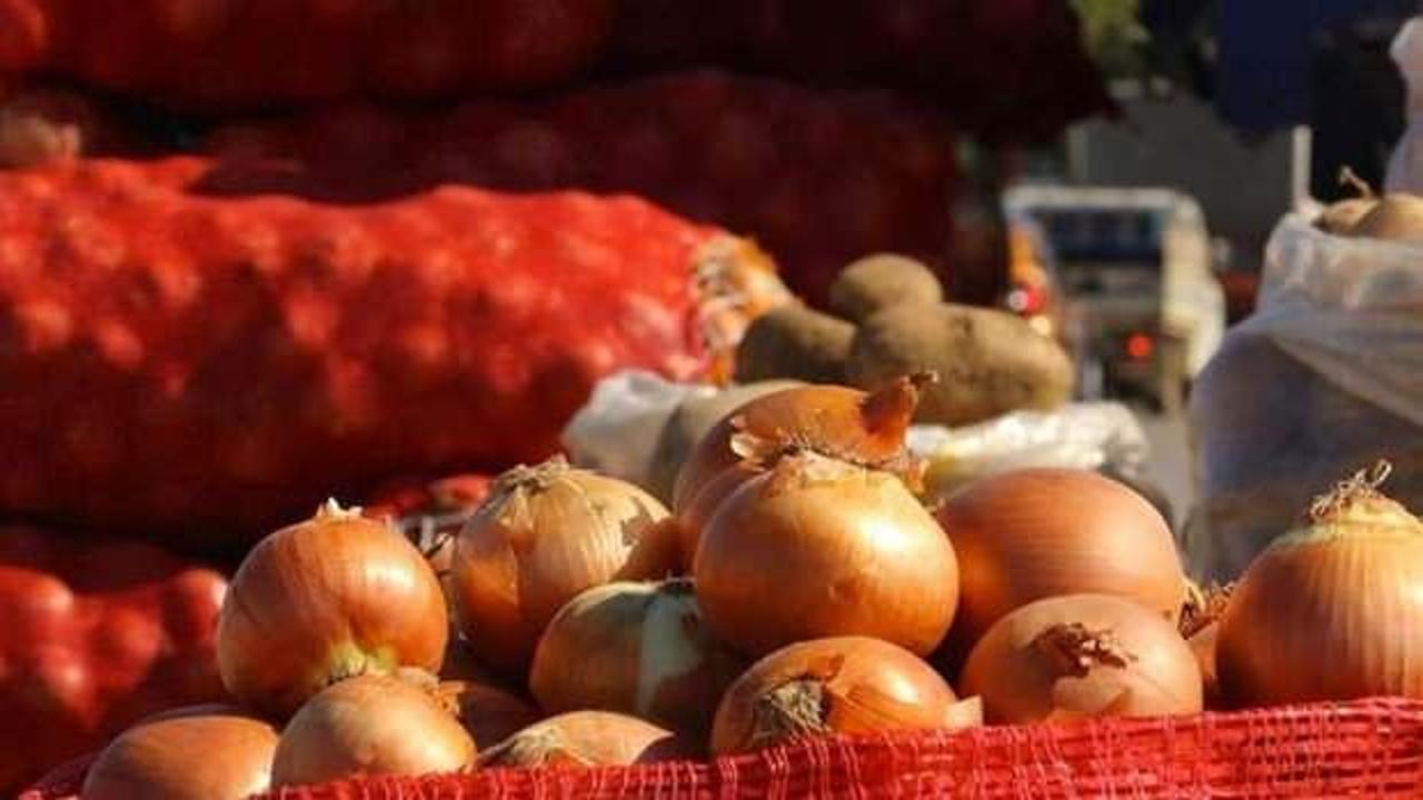 Üreticilerden patates ve kuru soğan alımına başlandı
