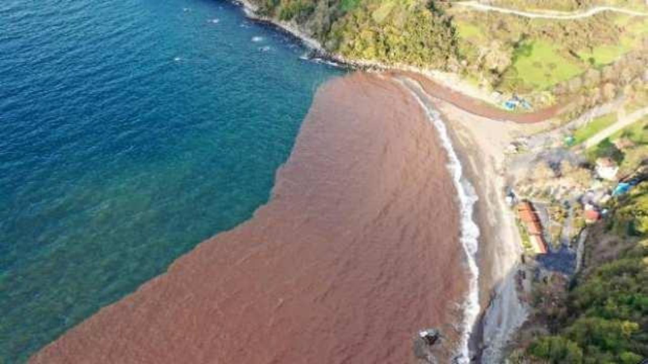 Zonguldak'ta denizin rengi çamura döndü