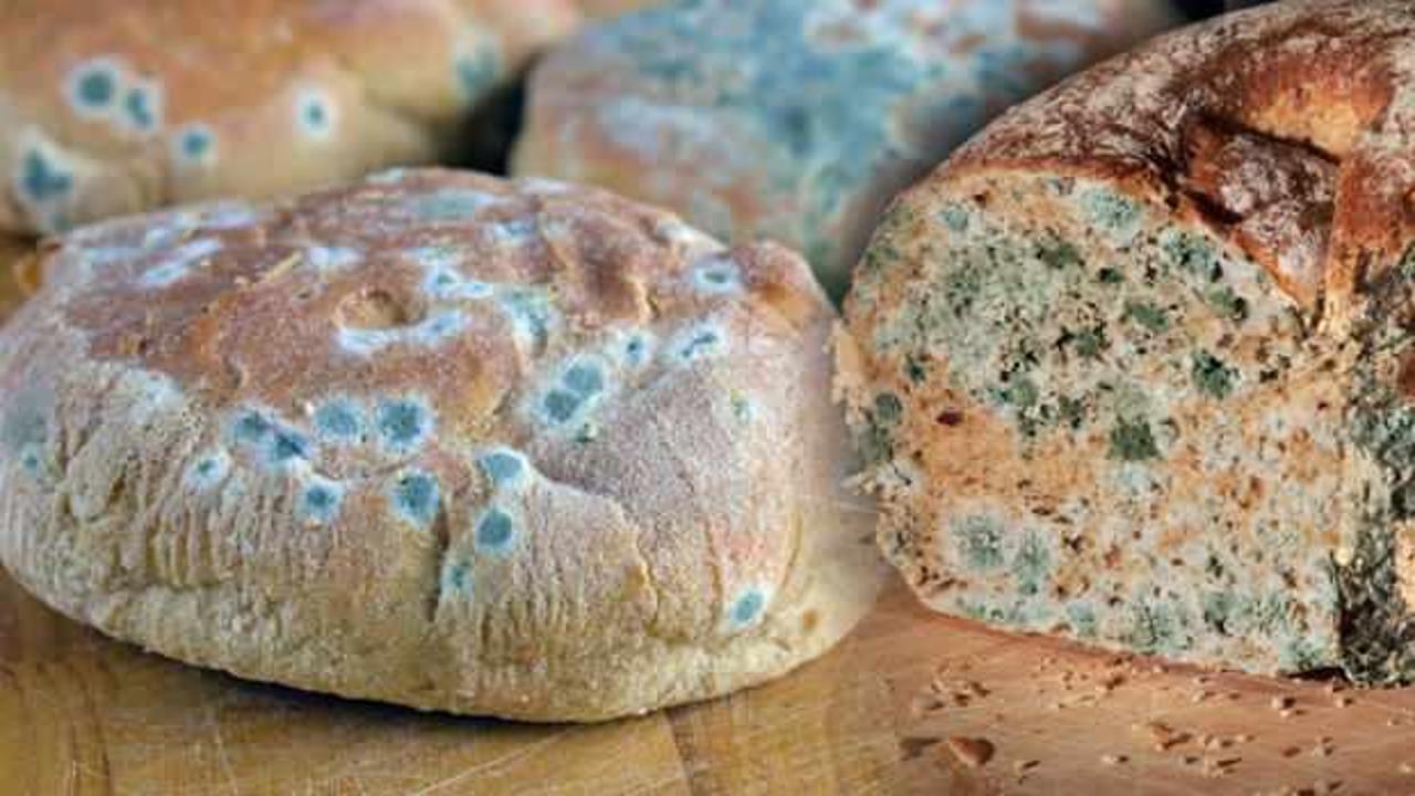 Ramazan'da ekmeğin küflenmesi nasıl önlenir?