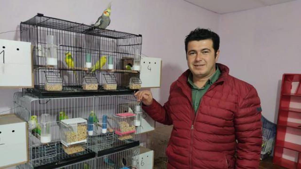 Papağan Bitik her sabah Ölürüm Türkiye'm diyerek güne başlıyor