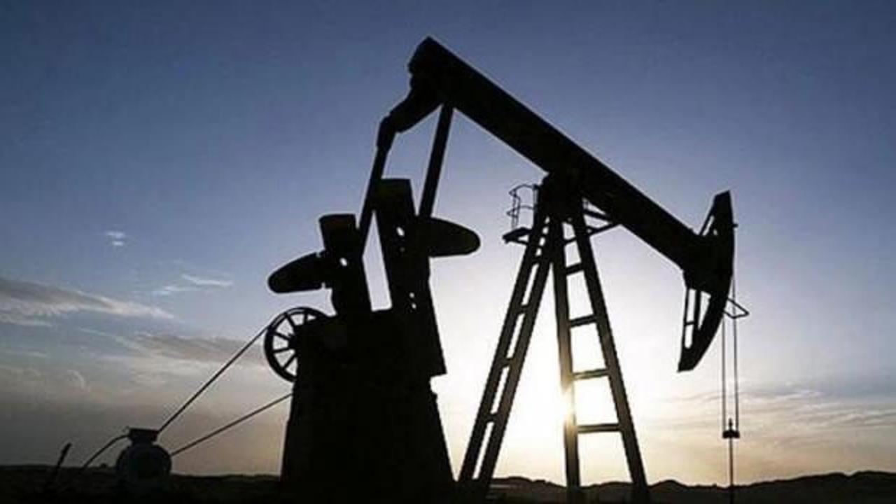 Brent petrolün varili 66,59 dolar
