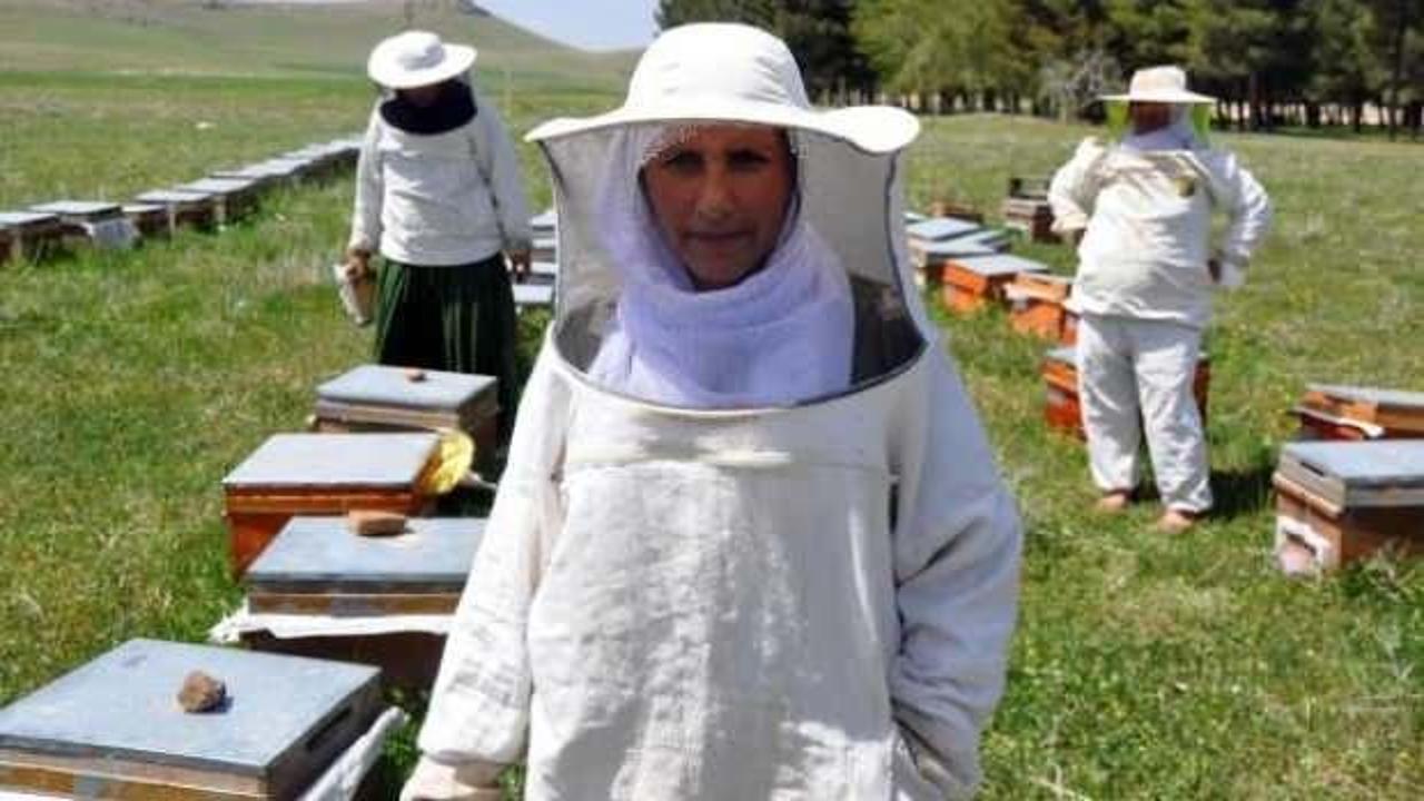 Mardin'de 3 elti arıcılık yapıyor!