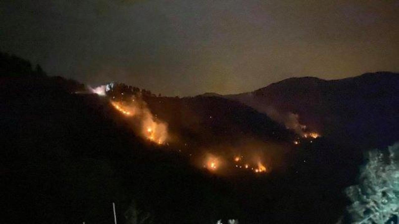 Rize'de orman yangını söndürüldü